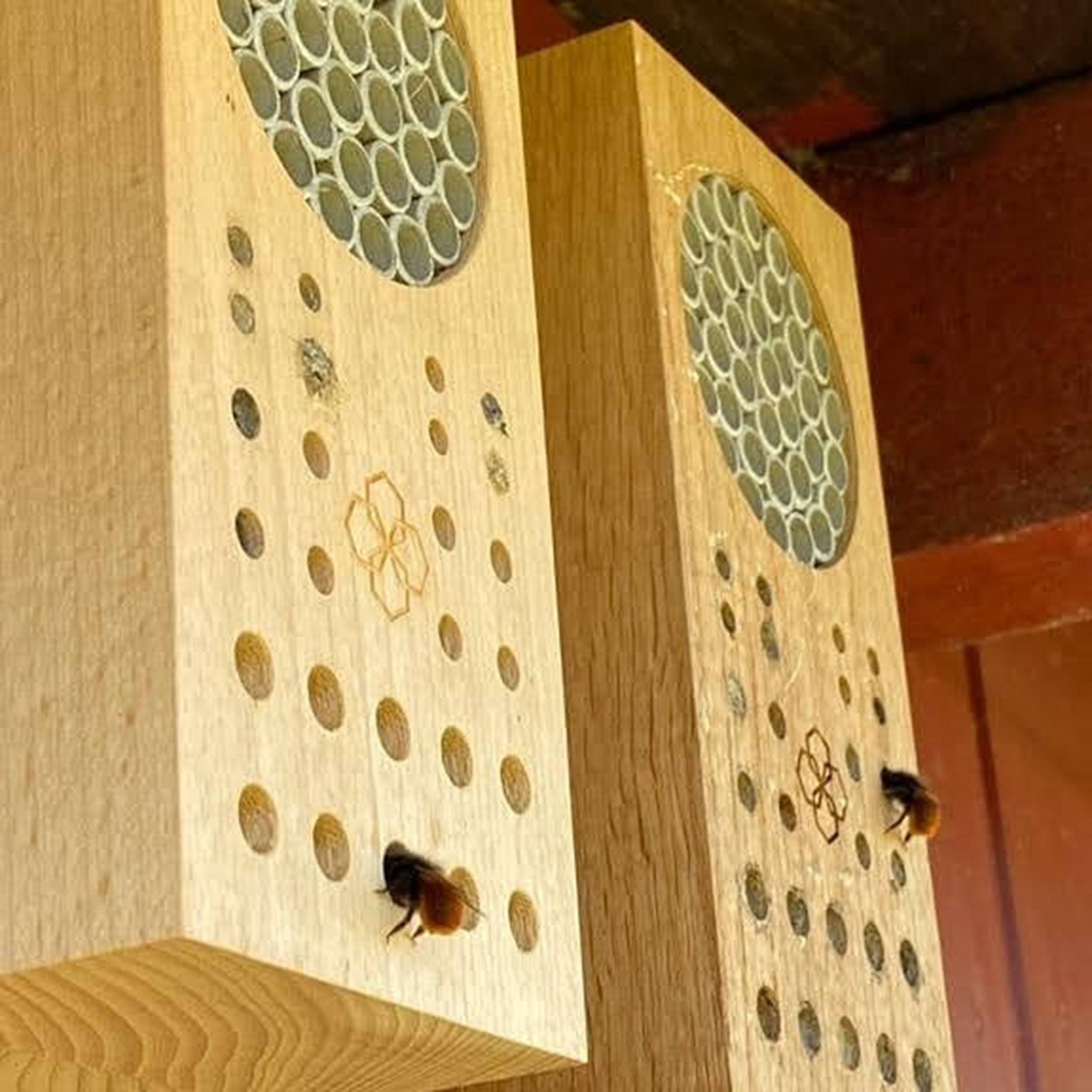 Bienenblock Box Nisthilfe