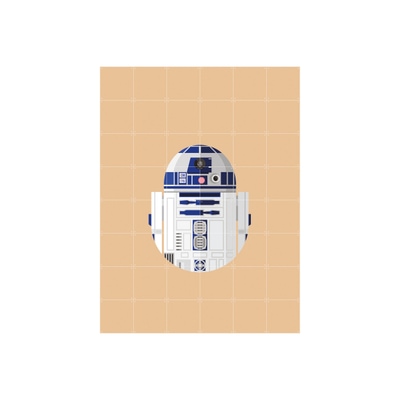 Star Wars Cool Club R2-D2 Bild