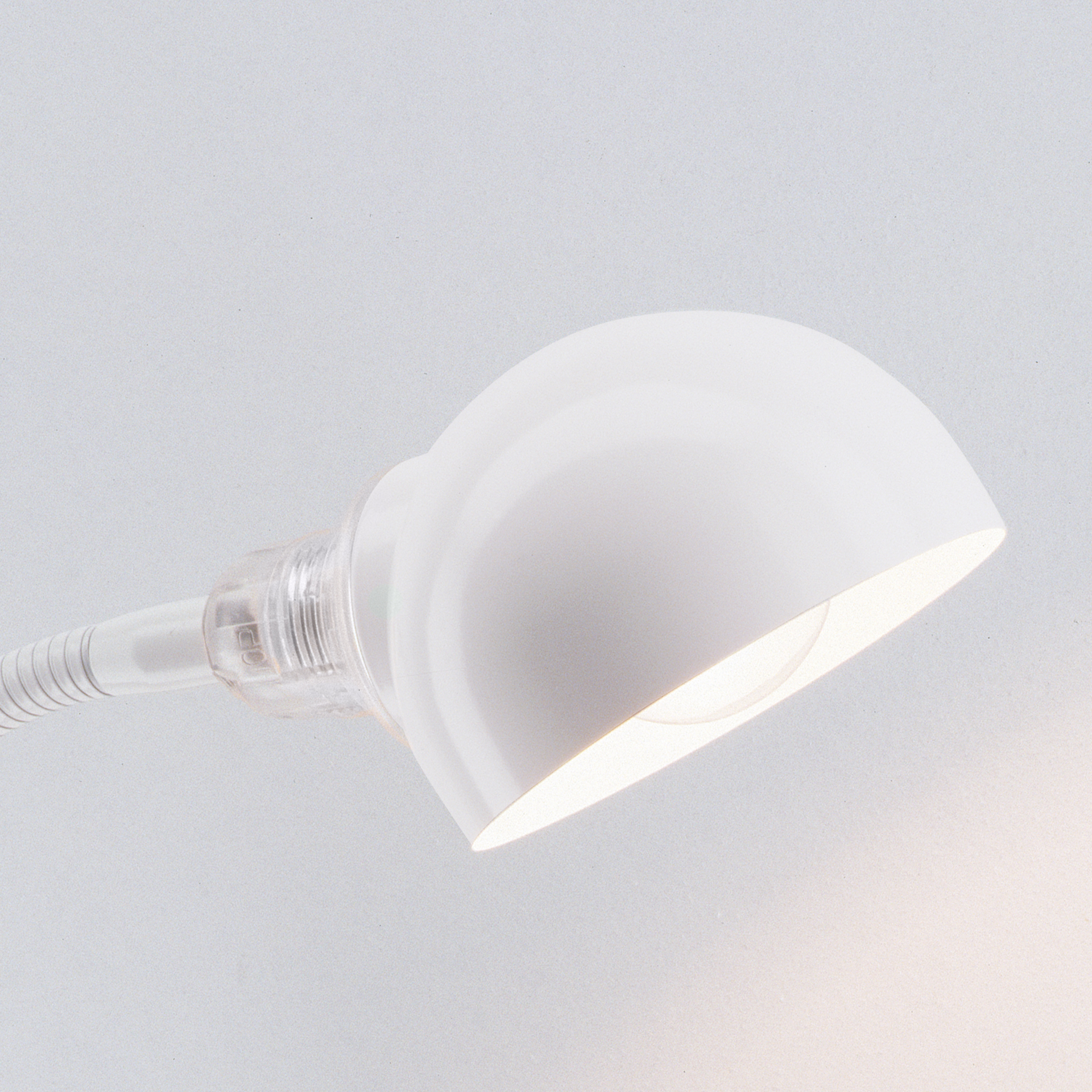 Glühwürmchen Standard LED mit Halbkugel-Reflektor - Farbe: weiß | Größe